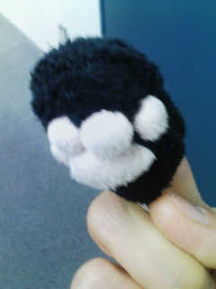 Photograph taken by Mobby