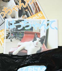 はっちゃんて