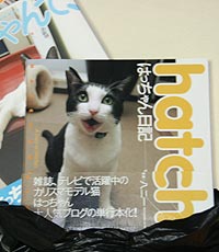 はっちゃん日記