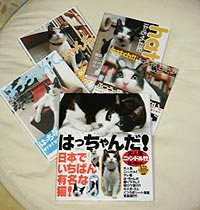 はっちゃん本並べてこれがホントのはっちゃんだらけ