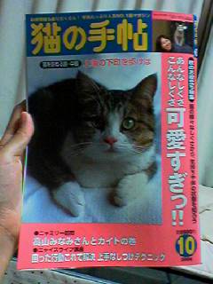 Photograph taken by Mobby