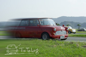写真:レース(加工後w)