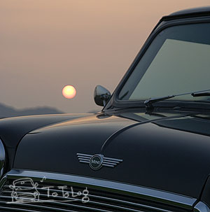 写真:夕日と ととこ